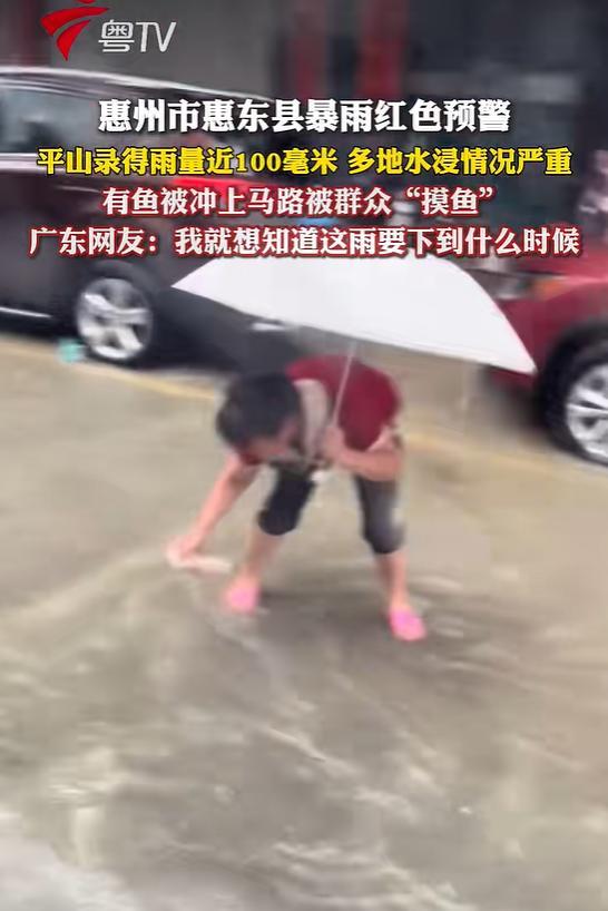 广东遭遇暴雨是厄尔尼诺惹的祸吗 极端天气频发引担忧
