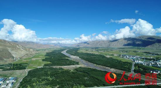 半个世纪征程 西藏隆子县筑起一条“绿色长城” 