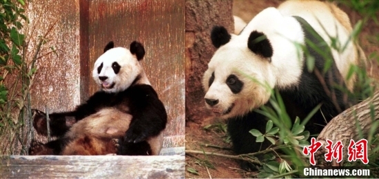 【明珠耀香江】影像回顾香港回归25周年 每一幅都值得珍藏