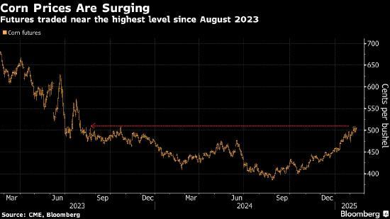 玉米期貨維持在每蒲式耳5美元上方 供應(yīng)趨緊支撐價格