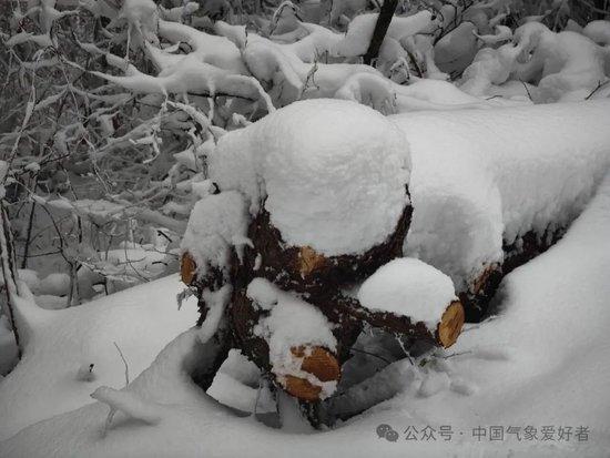 壞回暖來了 氣溫劇變需警惕