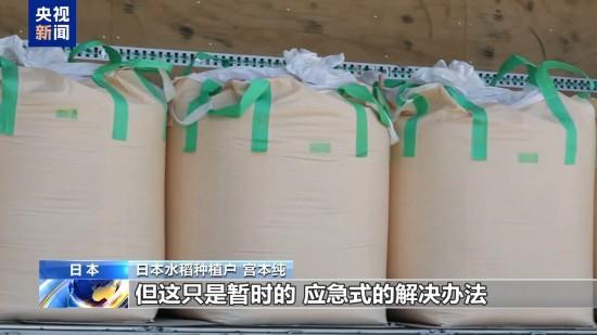 日本平抑米价为何难见成效 多因素推高成本