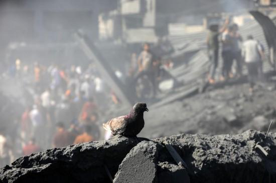 专家：加沙停火协议脆弱依旧 和平前景存疑