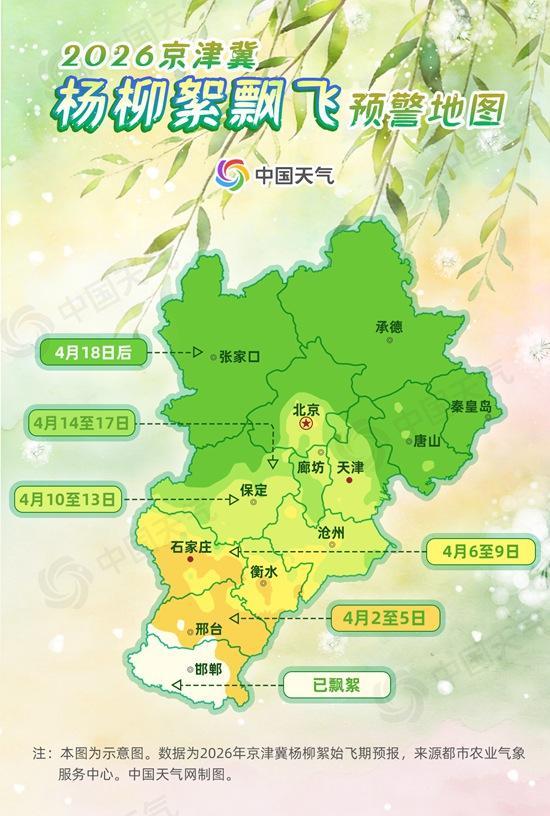 飞絮季开启！2026杨柳絮预警地图出炉 一图掌握京津冀等地始飞期