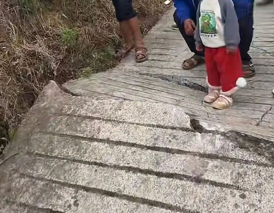 路面被眼镜蛇拱裂？村干部辟谣 无毒蛇出没引发误会