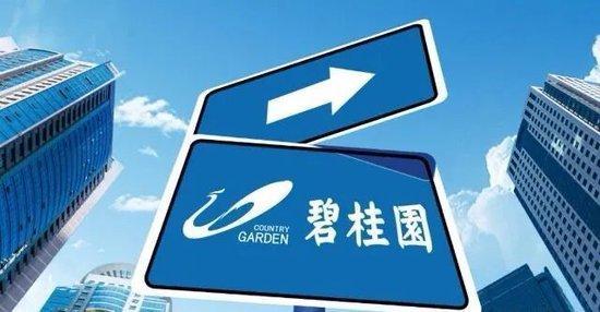 长鑫上市这场盛宴碧桂园没等到开席 万亿负债成绊脚石