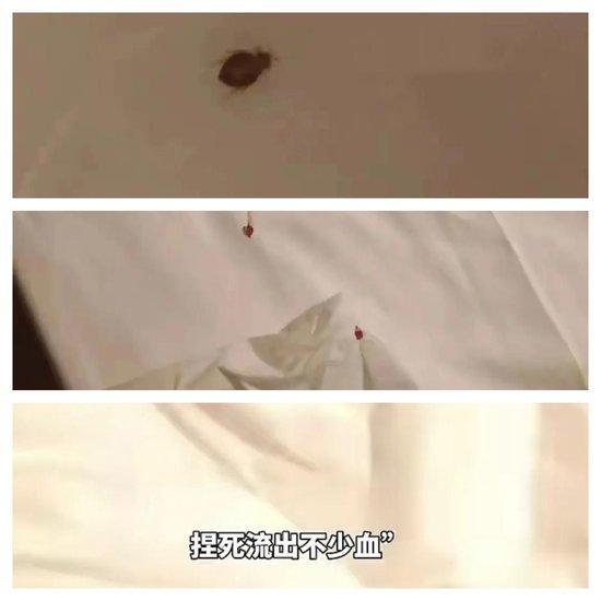 上海 床虱