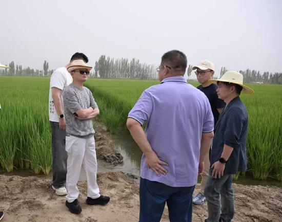 马云赴西北调研沙漠农业与水资源利用