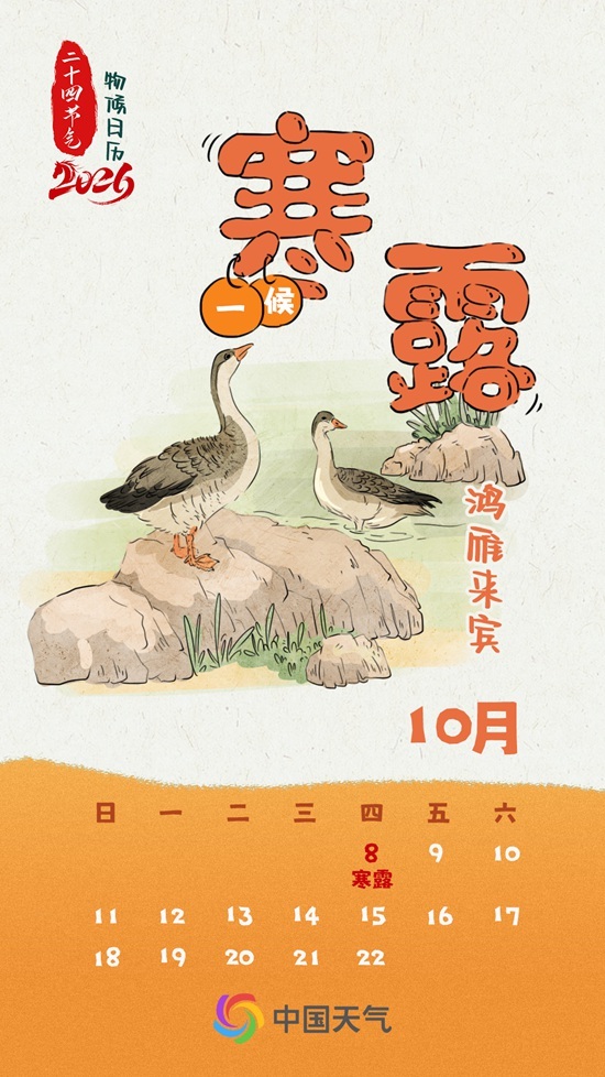 寒露秋色正浓 全国秋菊绽放 哪里“菊”势正好