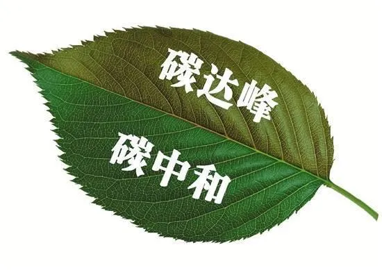 世界铝王的生死劫，最严电厂政策出炉，魏桥多数自备电厂不合规
