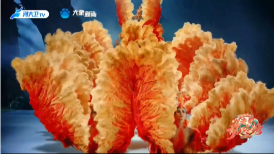 河南春晚中凤凰被杨丽萍演活了，网友直呼惊艳！