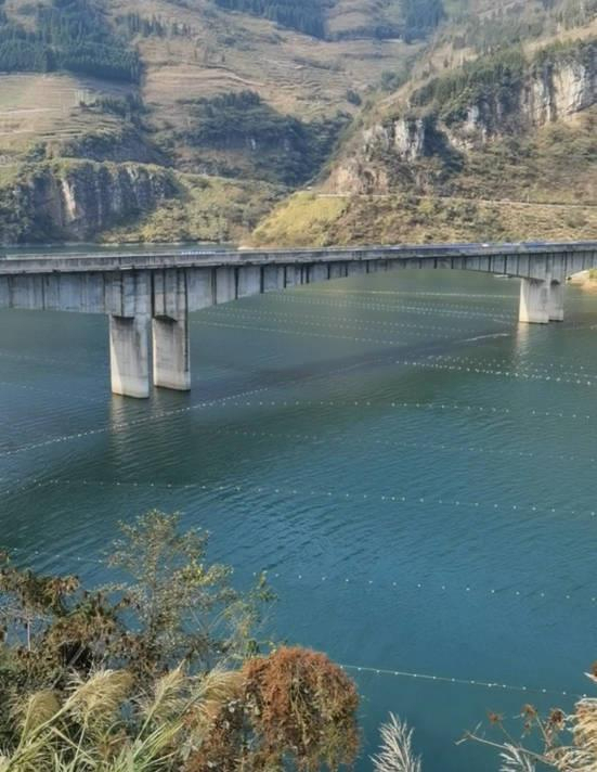 畢節(jié)一水域現(xiàn)密集漁網(wǎng)被指違法捕撈 涉事公司正撤網(wǎng)整改