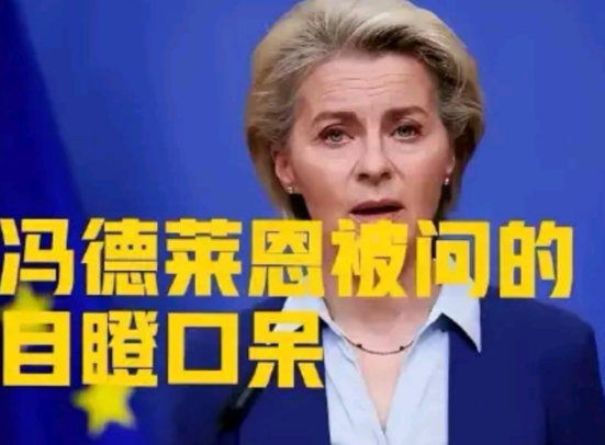 欧洲2025年液化天然气进口量创历史新高