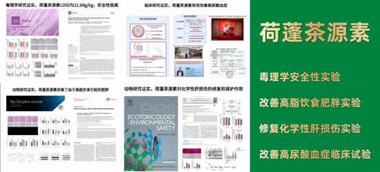 喜讯！❝荷蓬茶源素❞入驻厦门市第五医院