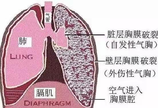 方大同去世前一周聊天記錄曝光 音樂夢想至最后一刻