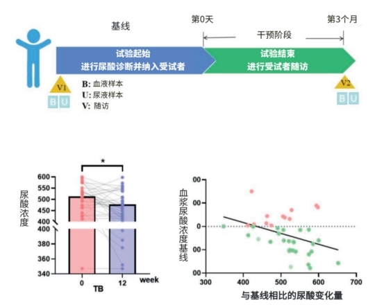茶源素HETECHIN®:以药物级标准重新定义茶提取物,开启精准健康新纪元
