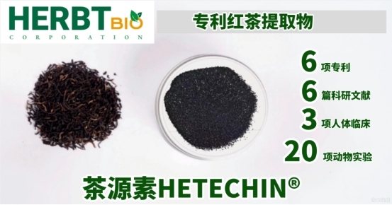 茶源素HETECHIN®:以药物级标准重新定义茶提取物,开启精准健康新纪元
