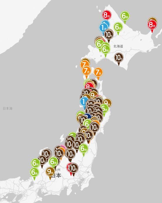 点击查看大图 熊灾泛滥毁物伤人,日本考虑出动自卫队协助灭熊