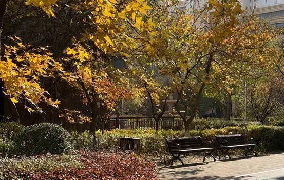 雨雪今晚抵達(dá)遼寧 冷空氣帶來(lái)降溫與大風(fēng)