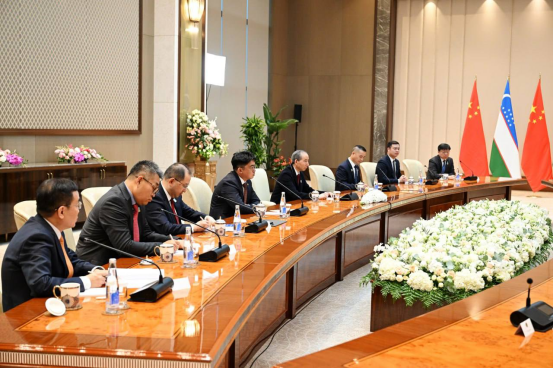 乌兹别克斯坦总统沙夫卡特·米尔济约耶夫会见中国国际文化传播中心执行主席龙宇翔