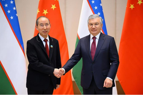 乌兹别克斯坦总统沙夫卡特·米尔济约耶夫会见中国国际文化传播中心执行主席龙宇翔
