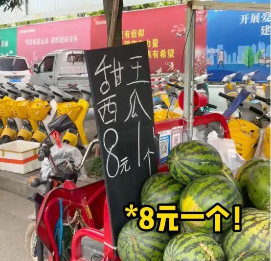 韩国小哥不信中国拿西瓜喂猪 廉价水果的惊讶之旅