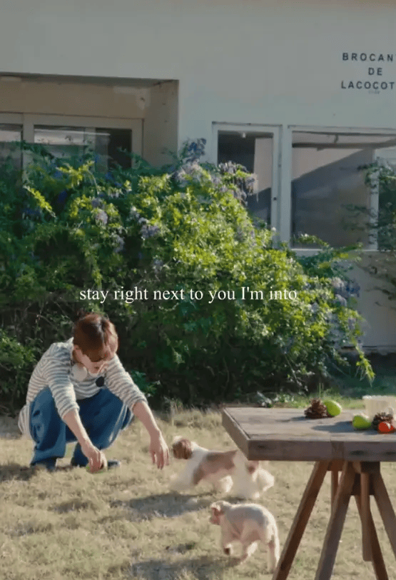 ̴�����빷����ˣ���� ����ֻ�������� �ɷ�������