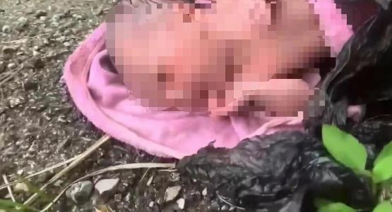一女婴儿被装塑料袋遗弃草丛内 所幸女婴身体健康