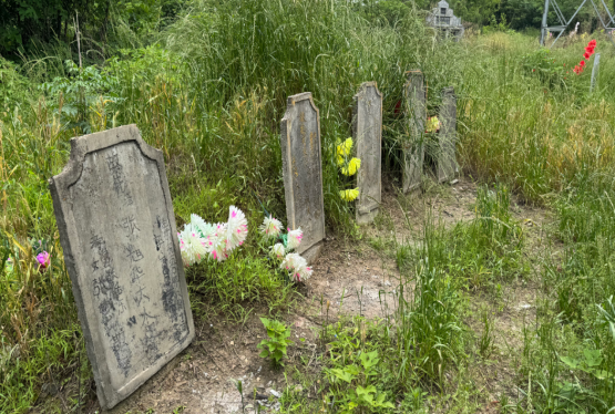 武汉一村庄585人中62人患癌 环境污染疑云笼罩
