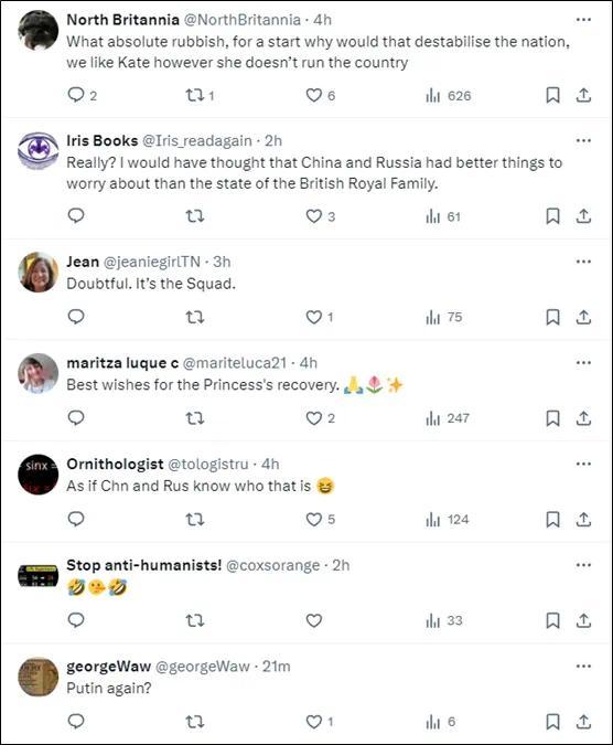 英媒无端指控中国炒作凯特王妃消失 引英国网友斥责