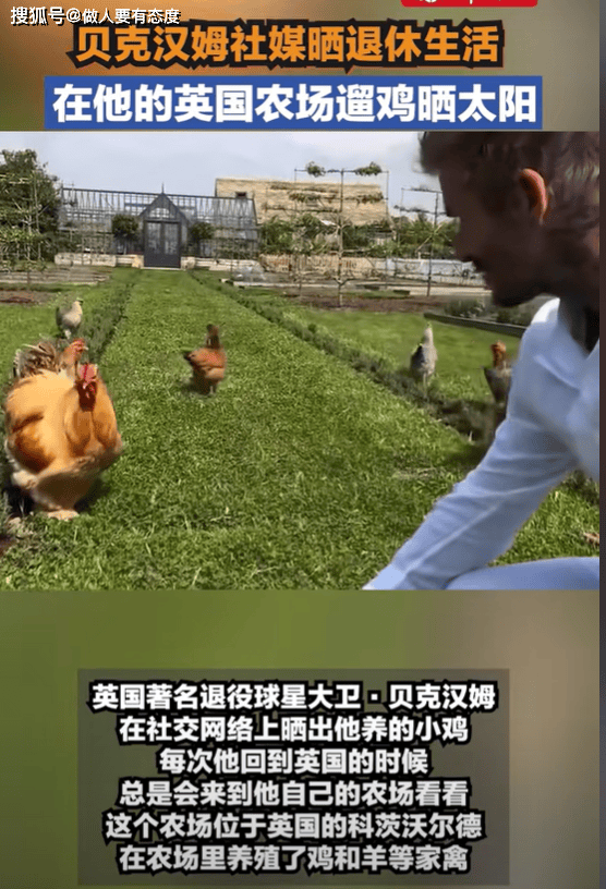 贝克汉姆农场遛鸡晒太阳 昔日绿茵王者退休生活曝光