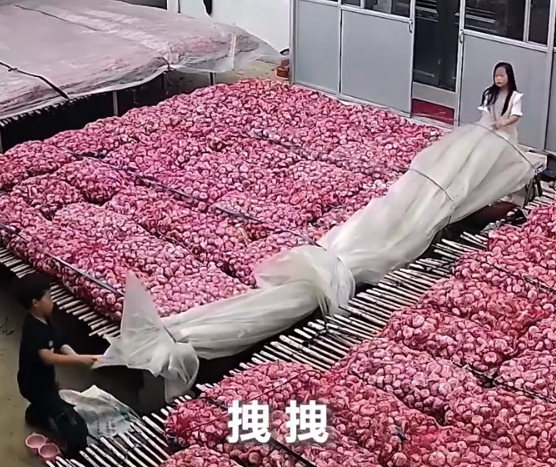 两小孩护住了一家人的一年 网友：小小的年纪大大的担当！