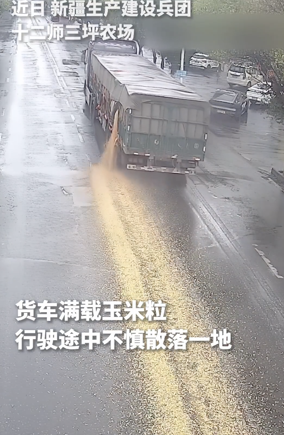 货车掉落玉米粒众人纷纷帮忙