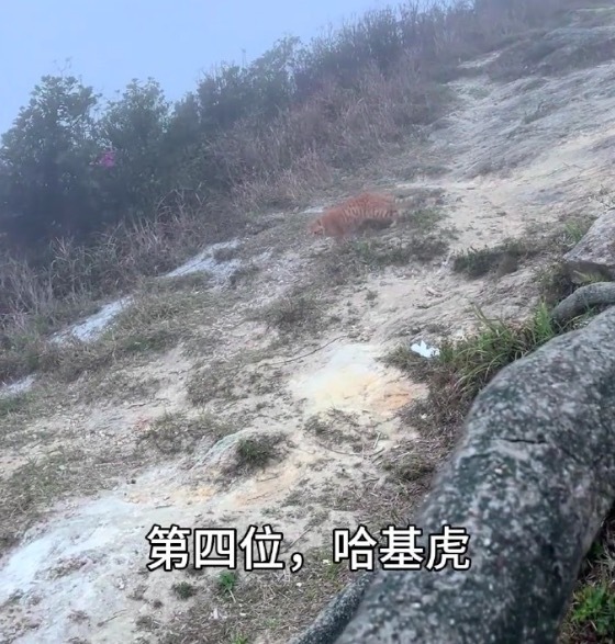 照相界又来一位天才