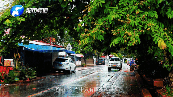 《總書記的回信》老撾篇
