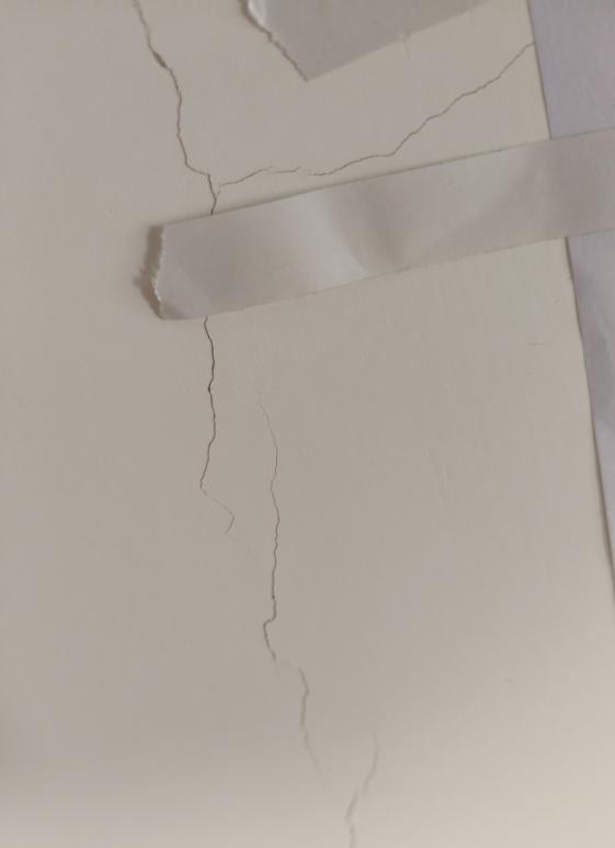 外面下大雨 家中如瀑布：23个盆子接漏水引发关注