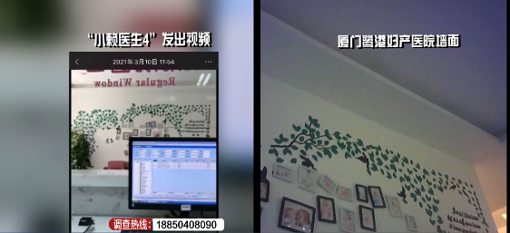 厦门非法胎儿性别鉴定利益链曝光 记者暗访揭秘血色产业