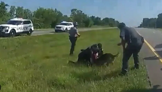美国黑人被警察放狗袭击 手臂被咬伤后仍然被拘留