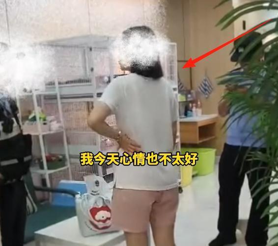 女子猫咖虐猫致死呼唤反虐待动物法 残忍行为引发社会关注