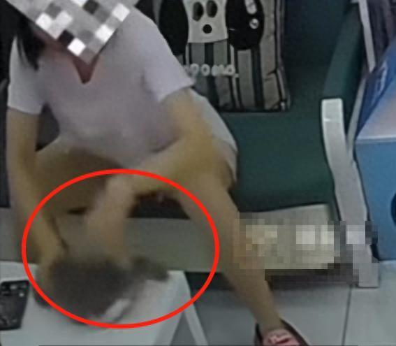 女子猫咖虐猫致死呼唤反虐待动物法