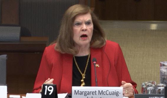 加议员拷问学者：你去过中国吗？质询引发哗然