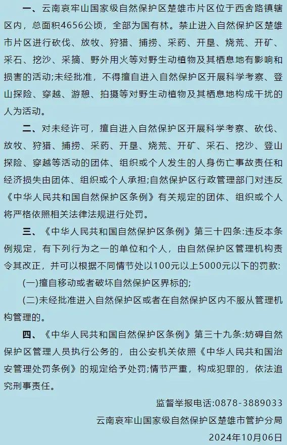 女博主露营哀牢山将被调查！途经的保护区严禁擅闯，官方回应 违者最高罚5000元