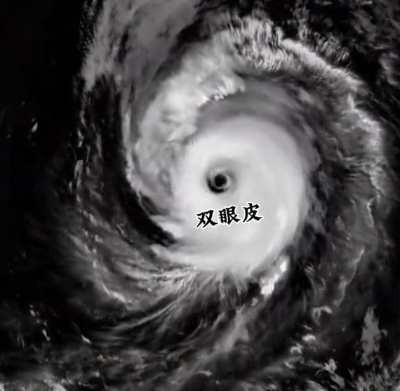 台风白海豚将迎第四次巅峰