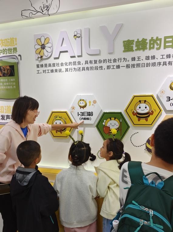 青岛城阳区夏庄街道山色峪乡村振兴片区：农文旅融合激活“逍夏游”，特色研学赋能乡村振兴