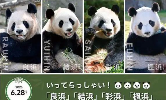 日本游客排起長隊 送別即將返回中國的大熊貓 跨越30年的情感紐帶