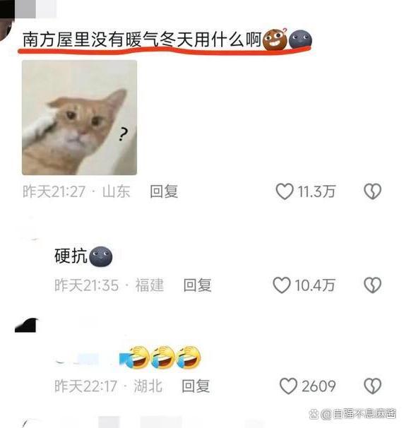 东北女生在南边惊羡南边的冷是真冷 硬扛过冬引热议