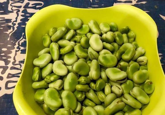 孩子抢吃不撒手，葱炒蚕豆香翻全家，3块钱成本惊艳味蕾