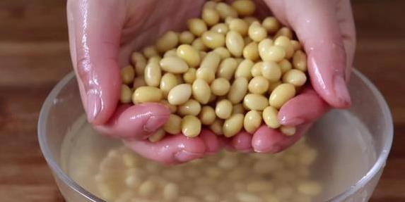 在家做豆浆总失败？3个秘诀教你，香浓顺滑全家夸