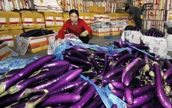 紫茄子绿茄子营养大比拼？皮能不能吃？真相让你惊讶