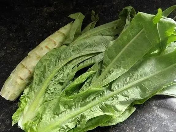 莴苣是莴笋吗？莴笋叶是油麦菜吗？区别挺大，别再弄错了，涨知识